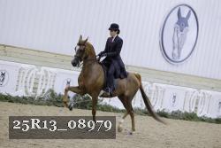 25R13_08979 thumbnail
