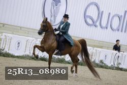 25R13_08980 thumbnail