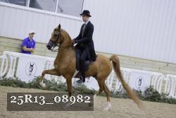 25R13_08982 thumbnail