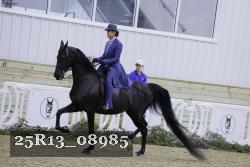 25R13_08985 thumbnail