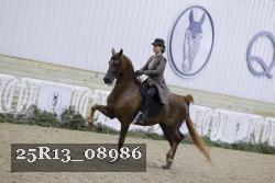 25R13_08986 thumbnail