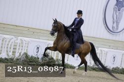 25R13_08987 thumbnail