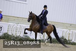 25R13_08988 thumbnail
