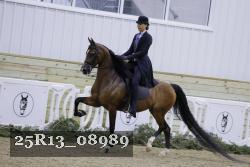 25R13_08989 thumbnail
