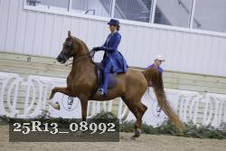 25R13_08992 thumbnail