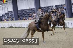 25R13_08993 thumbnail