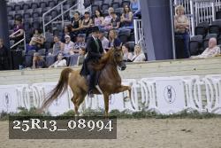 25R13_08994 thumbnail