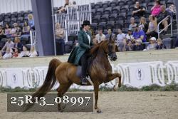 25R13_08997 thumbnail