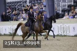 25R13_08998 thumbnail