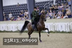 25R13_08999 thumbnail