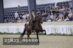 25R13_09000 thumbnail