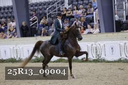 25R13_09004 thumbnail