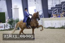 25R13_09005 thumbnail