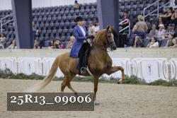 25R13_09006 thumbnail