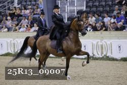 25R13_09007 thumbnail