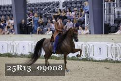 25R13_09008 thumbnail