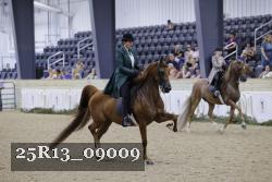 25R13_09009 thumbnail