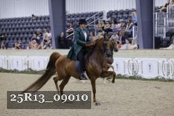 25R13_09010 thumbnail