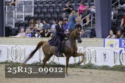 25R13_09012 thumbnail