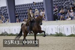25R13_09013 thumbnail