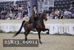 25R13_09014 thumbnail