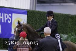 25R13_09015 thumbnail