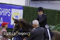 25R13_09017 thumbnail