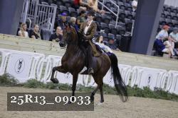 25R13_09033 thumbnail