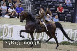 25R13_09038 thumbnail