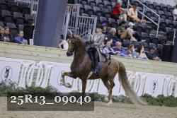 25R13_09040 thumbnail