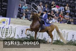 25R13_09046 thumbnail