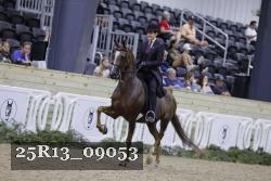 25R13_09053 thumbnail