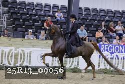 25R13_09056 thumbnail