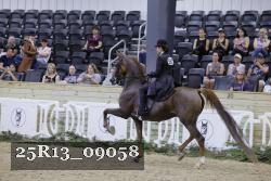 25R13_09058 thumbnail