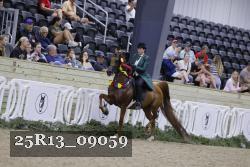 25R13_09059 thumbnail