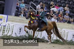 25R13_09061 thumbnail