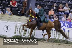 25R13_09063 thumbnail