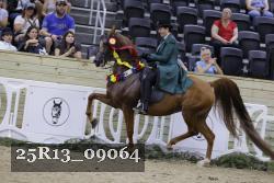 25R13_09064 thumbnail