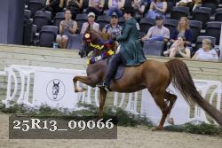 25R13_09066 thumbnail
