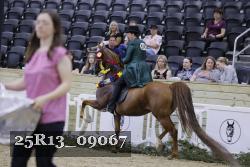 25R13_09067 thumbnail