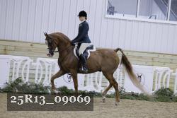 25R13_09069 thumbnail