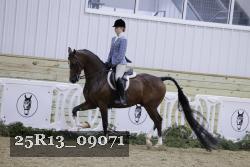 25R13_09071 thumbnail