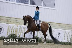 25R13_09073 thumbnail