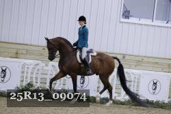 25R13_09074 thumbnail