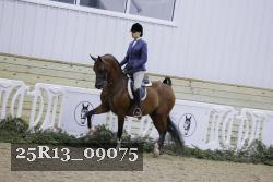 25R13_09075 thumbnail