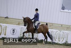 25R13_09076 thumbnail