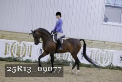 25R13_09077 thumbnail