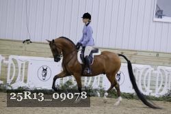 25R13_09078 thumbnail