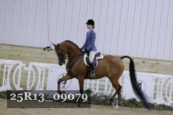 25R13_09079 thumbnail