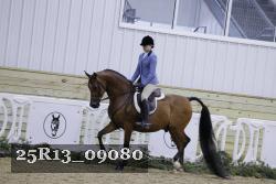 25R13_09080 thumbnail